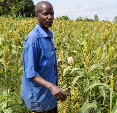 Beneficiary farmer in Kumi District